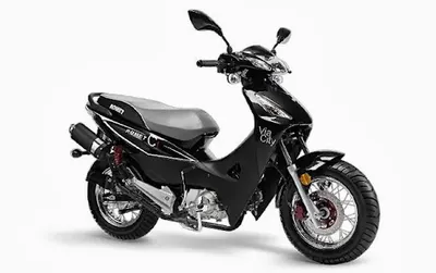 BHU "NESS" Bogusław Nasternak